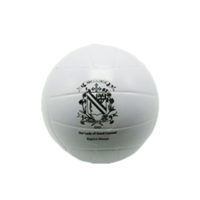BMG1381 Stressball